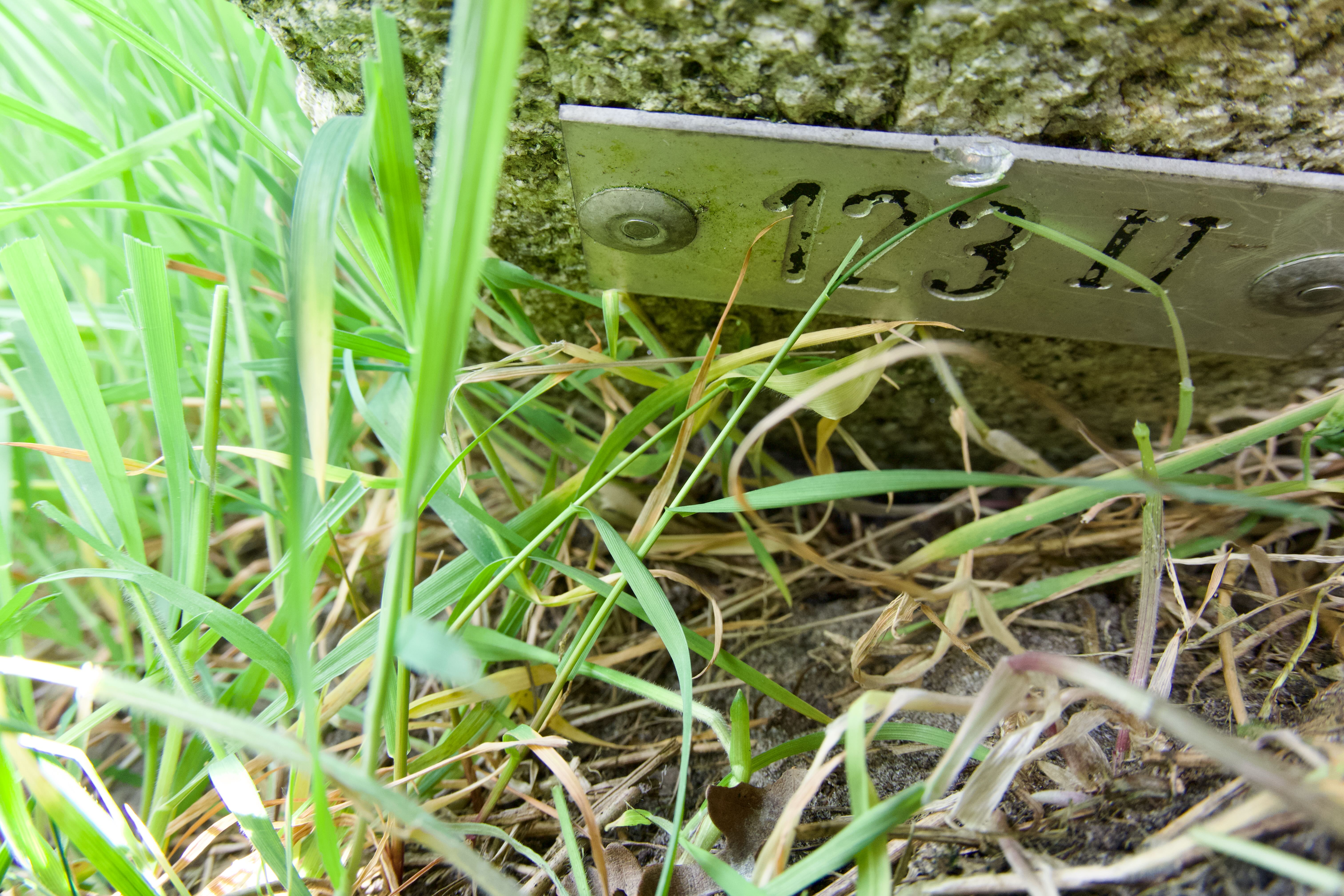Grenssteen 123 II
