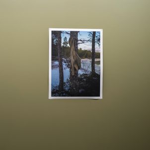 the jacket by the shore a