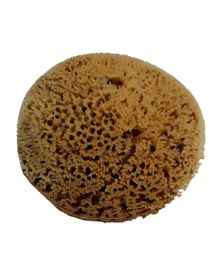 Naturschwämme