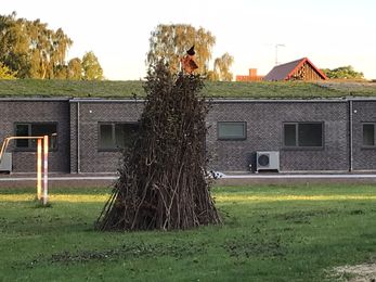IMG_0740