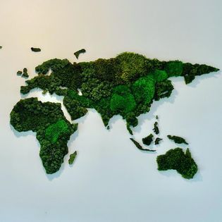moswall - moswand - groenwand - wereldkaart mos moskader - mosportret