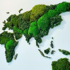 Moss maps - Ecosigns
