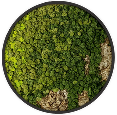 Ecobrick - Modern moss corky