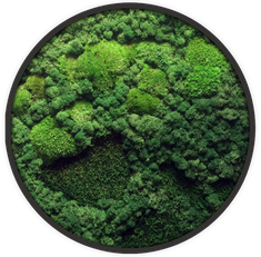 Ecobrick - Naturel basic