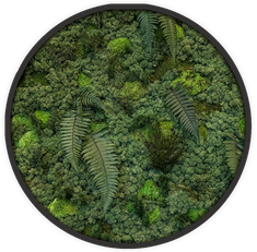 Ecobrick - Jungle basic