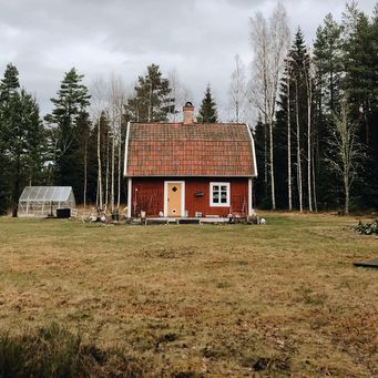 innan-efter-trädgård