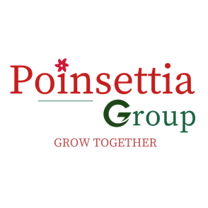GROUPE POINSETTIA