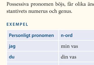 Substantivet ska vara i bestämd form när du har personliga pronomen,