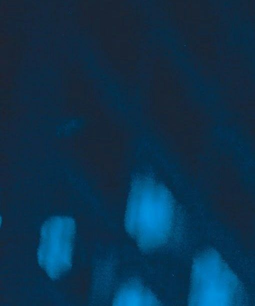 unsplash_iF5odYWB_nQ