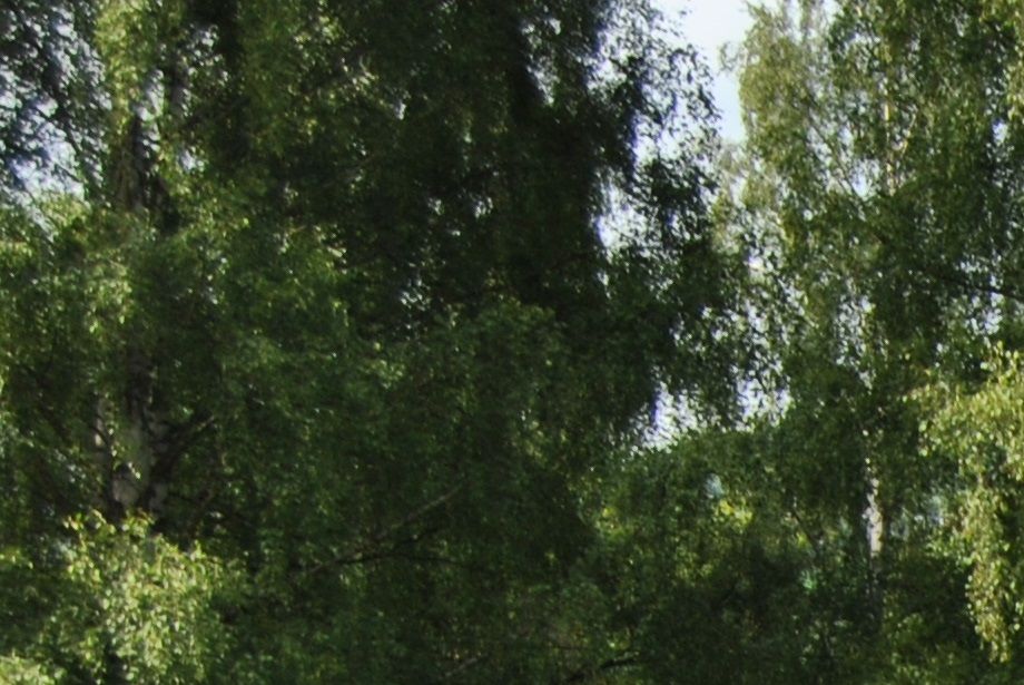 Kari Anne Lier Hansen og NJCH NBCH Visterwood Ynni Du vant både spor og rundering, og ble dermed dobbelt Norgesmestere! 

Beste lydighet rundering, beste lydighet spor, beste brukshund