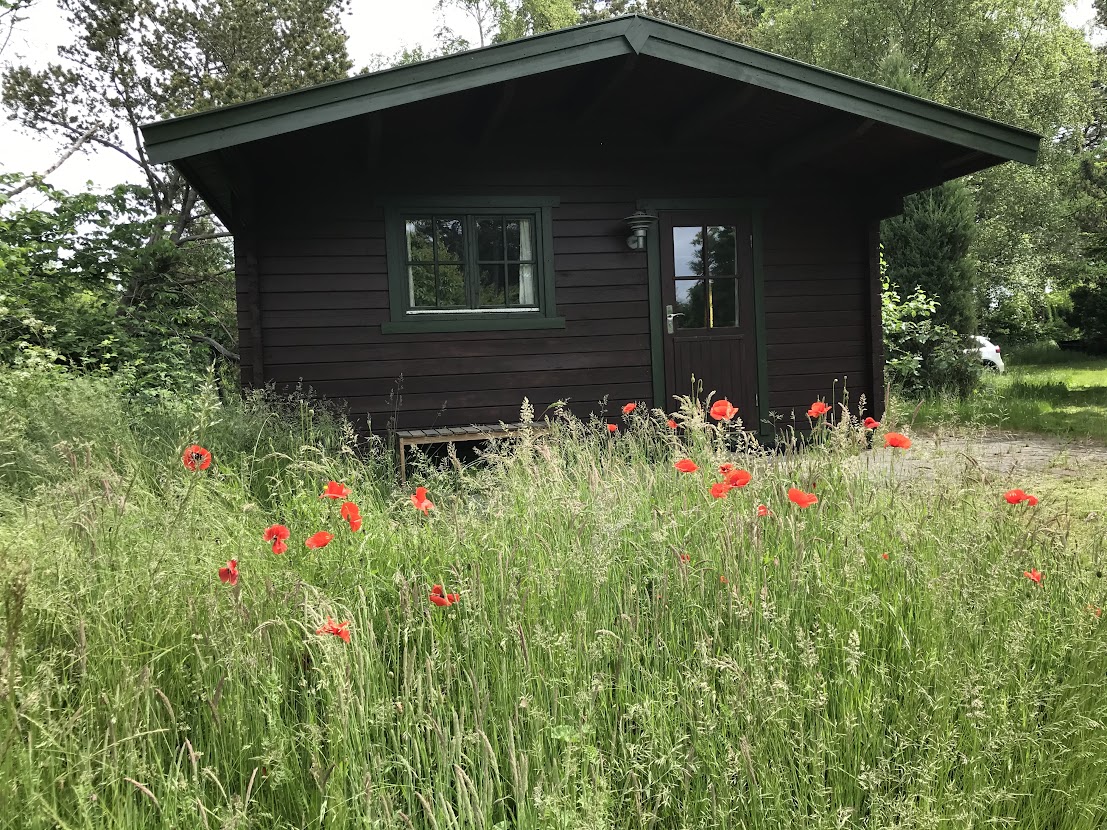 6EBDDCB5-1210-4DE8-97F3-6453877E84C3