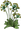 Gullviverallyt logga