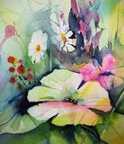 Blomma 24