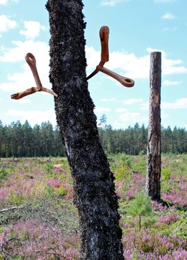 Tillväxt