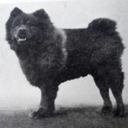 Ch Chang Fu