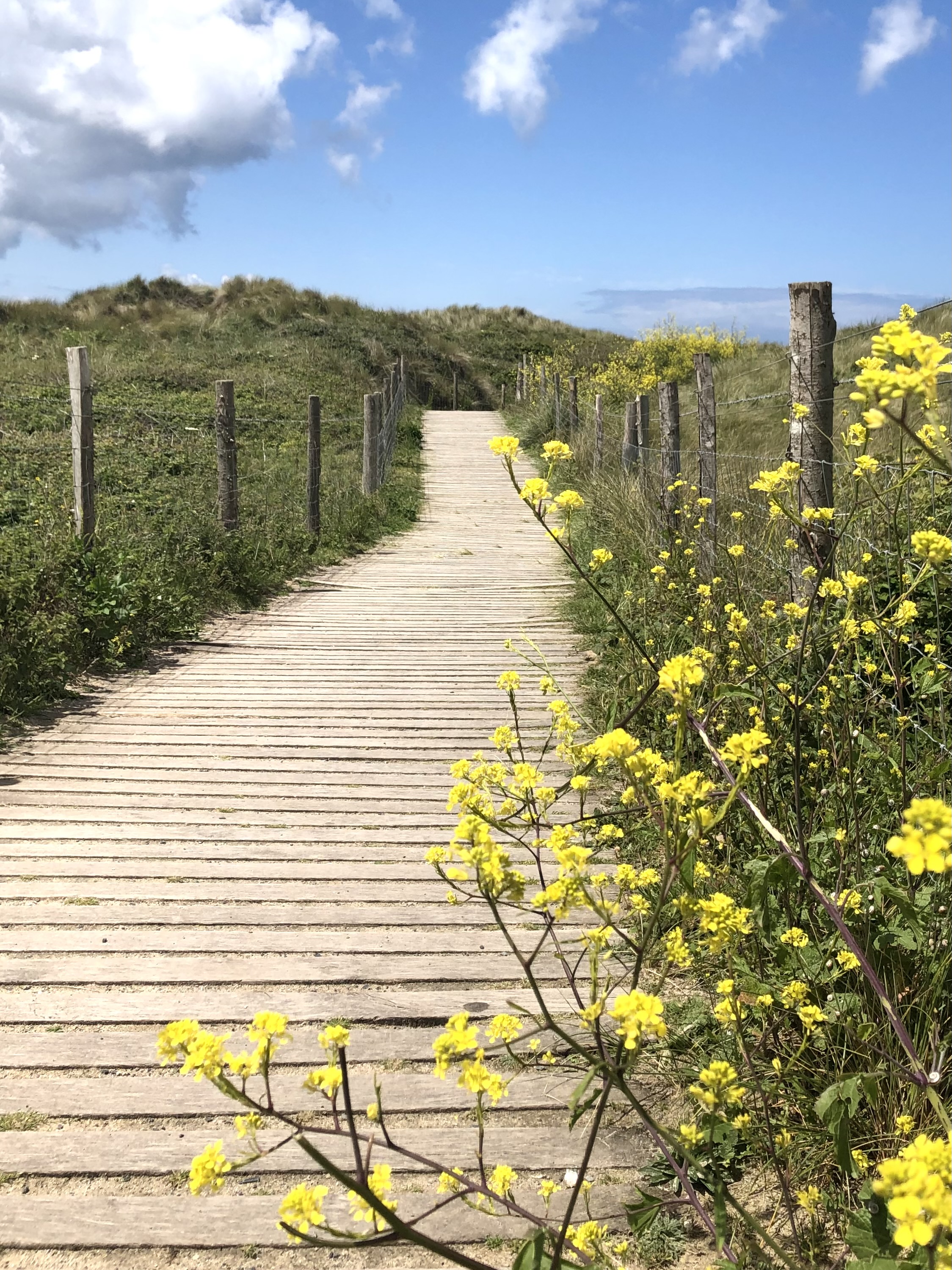 Gwithian,golden sands, Chalets for surfers, Gwithian, St Ives Bay