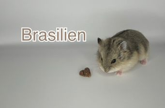 Brasilien