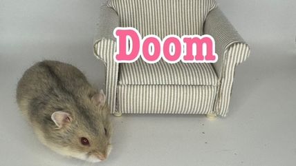 doom