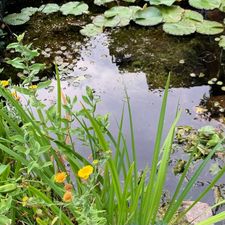 IMG-20220805-WA0007