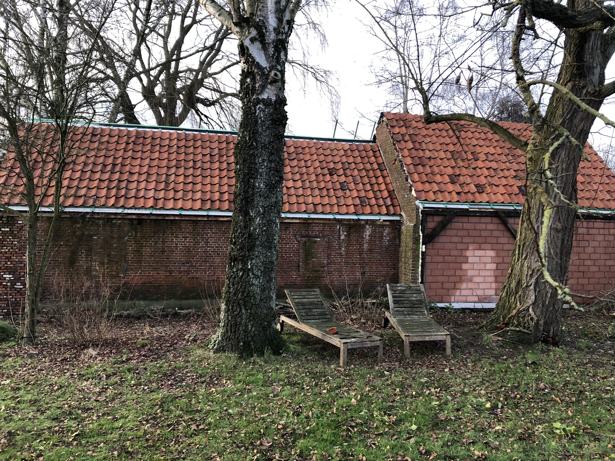 renovatie dak / boomse pannen