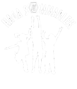 Haga sommarlek