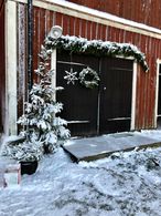 IMG_3797