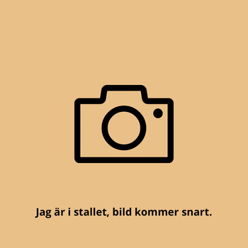 Lotta Johnsson
