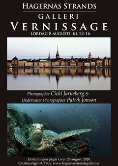 vernissage_Cicki_Jarneberg_Patrik_Jonson_aug_2020