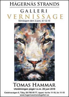 vernissage_tomas_hammar_2juni2019