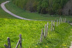CRW_0593