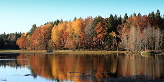 _E6C8368_BK-1_80x40-crop_ANV
