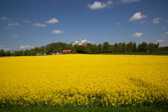 _E6C9534