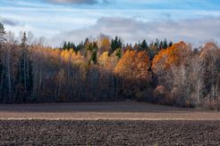 _MG_8638_ANV