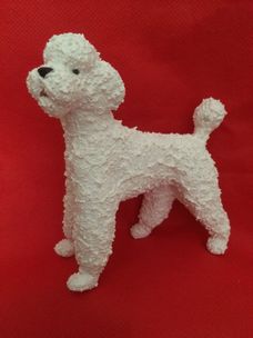 POODLE