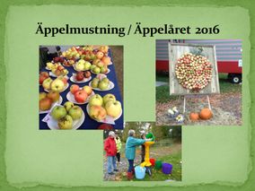 Bild11