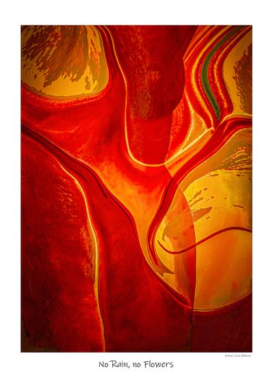 No rain no flowers - by Hanne Levy Jellesen - orange - Kopi