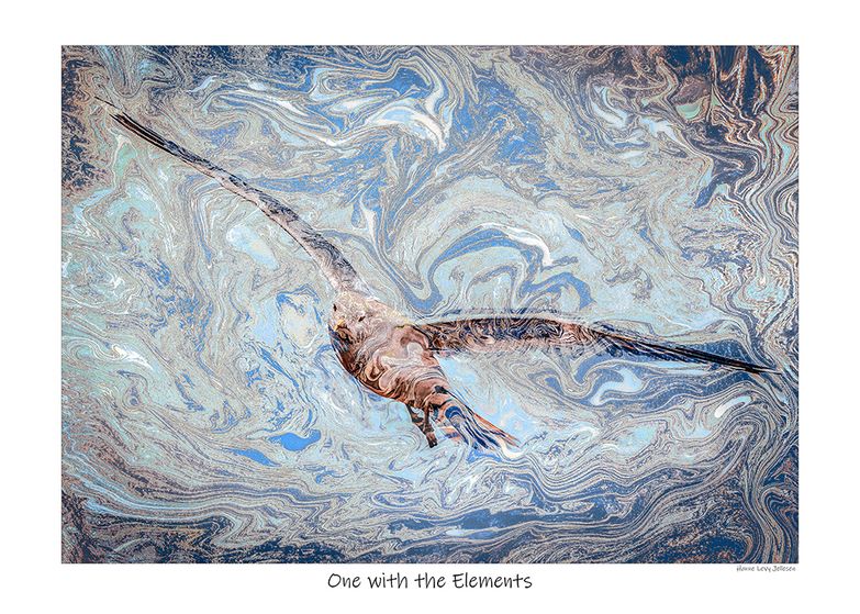 One with the Elements by Hanne Levy Jellesen lys