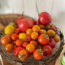 IMG_2366