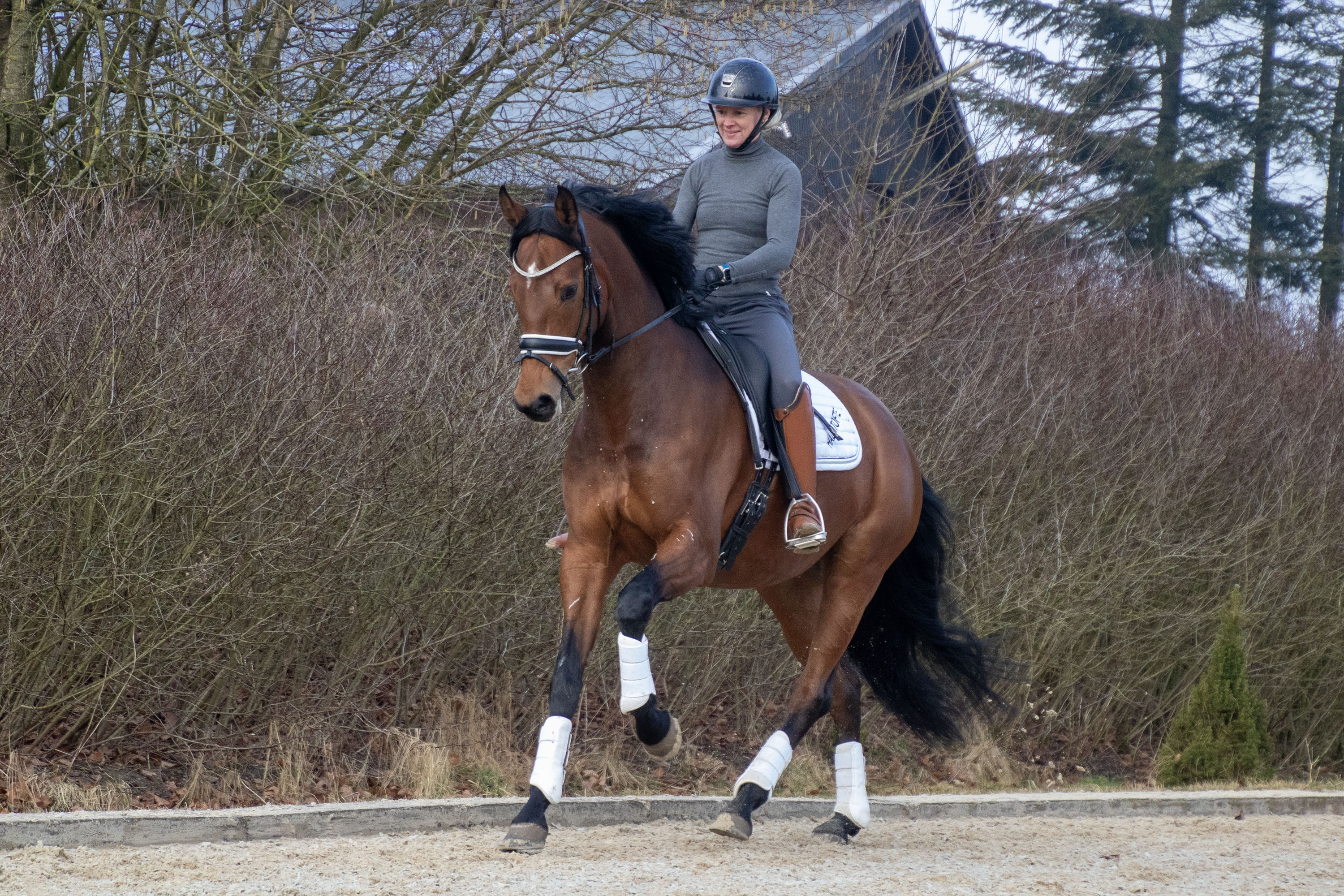 Halmtofte Fifty Million