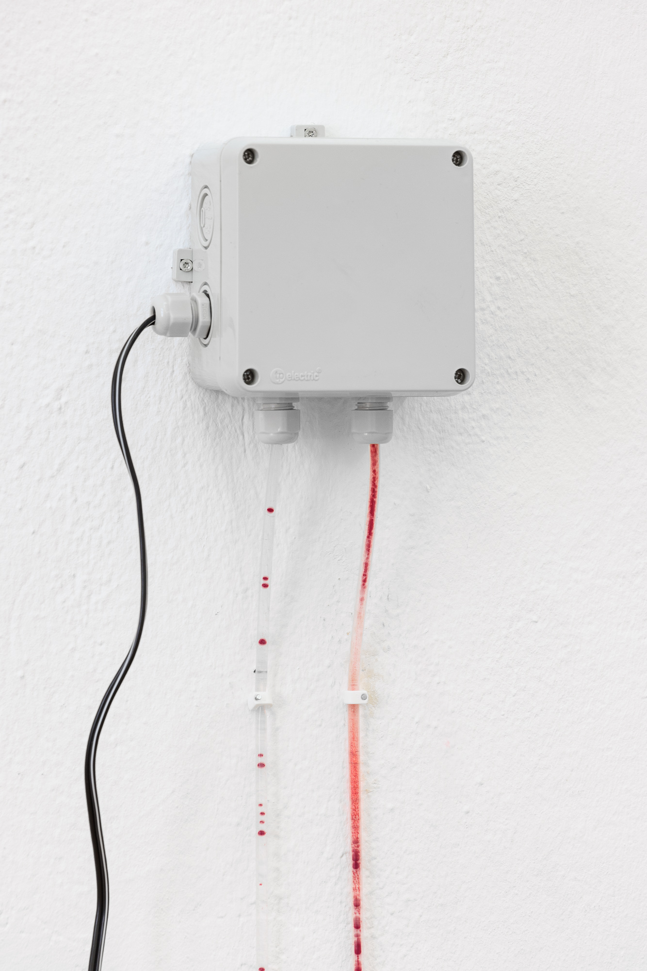 FELIX-GAUDLITZ_fig-1080_2023_Contaminators_Nikhil-Vettukattil_Circulat