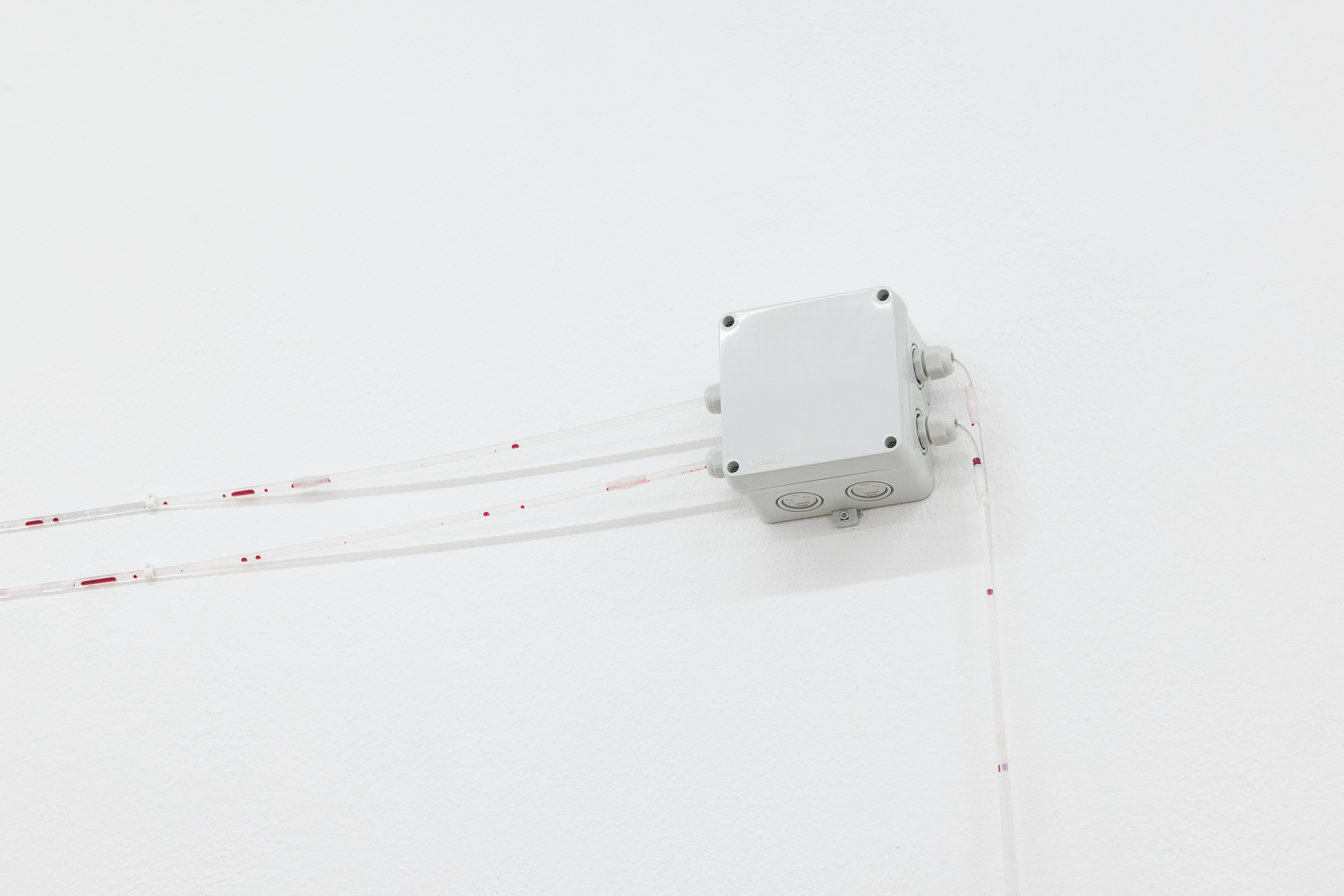 FELIX-GAUDLITZ_fig-1083_2023_Halvor-Rønning-&-Nikhil-Vettukattil_Conta