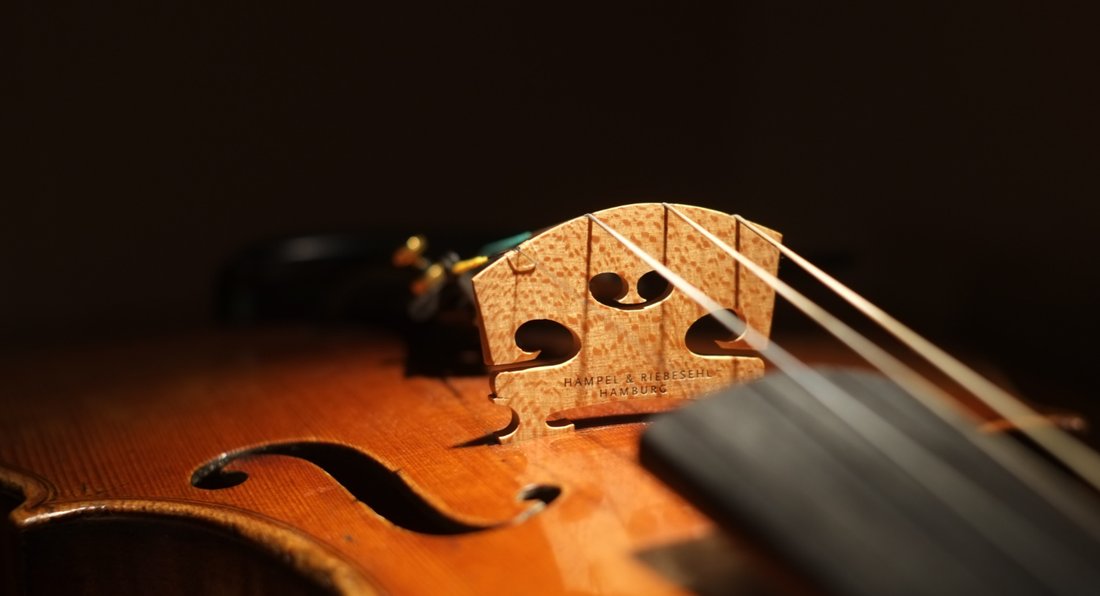 Steg - Hampel und Riebesehl Geigenbau Hamburg Steg - Hampel und Riebesehl Geigenbau Hamburg
