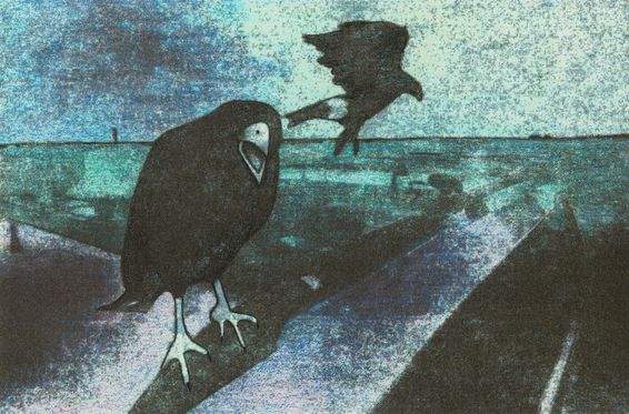 Denk aan het geluid van een kraai, maar dan heel lullig 