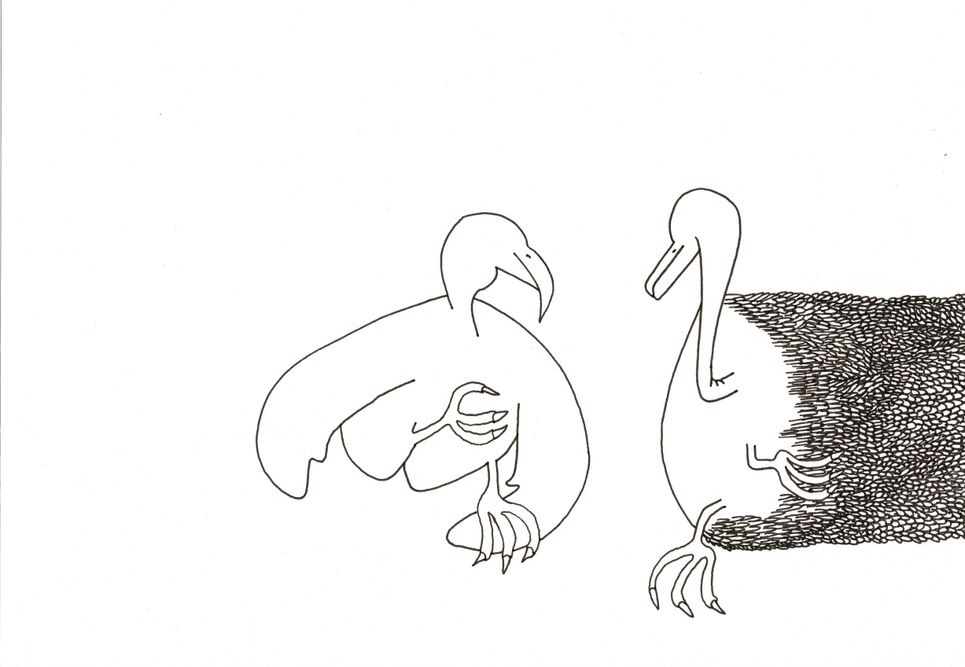 twee vogelachtigen