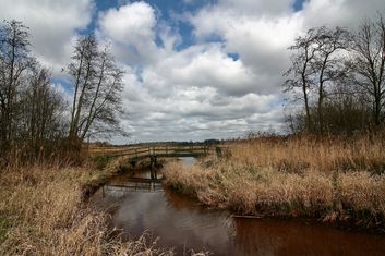IMG_4537