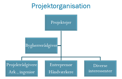 Projektorganisation
