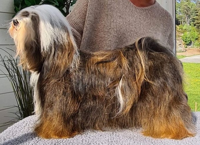 Keisha 3 år