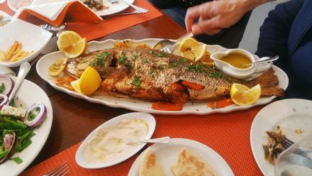 Bacchus Restaurant Cafe