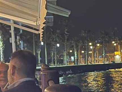THEO`S RESTAURANT