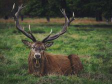 unsplash_IdUda6d6Aqs